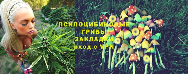 прущая мука Гусь-Хрустальный