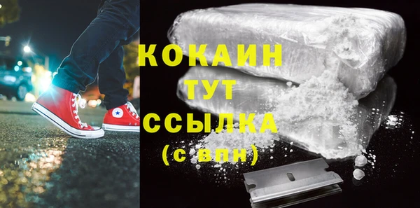 ГАЛЛЮЦИНОГЕННЫЕ ГРИБЫ Тайга