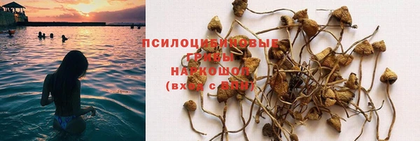 прущая мука Гусь-Хрустальный