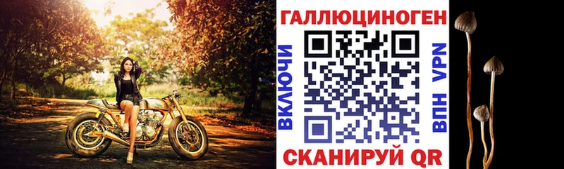 Псилоцибиновые грибы мухоморы  Заполярный 